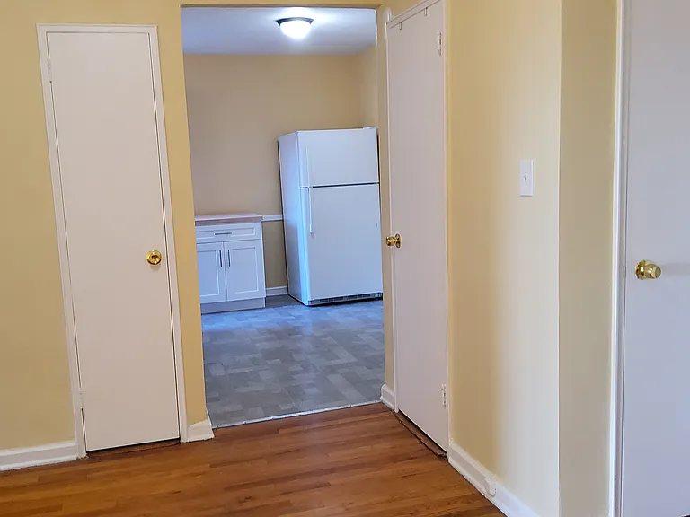 3203 Nostrand Ave #4N — Photo 4