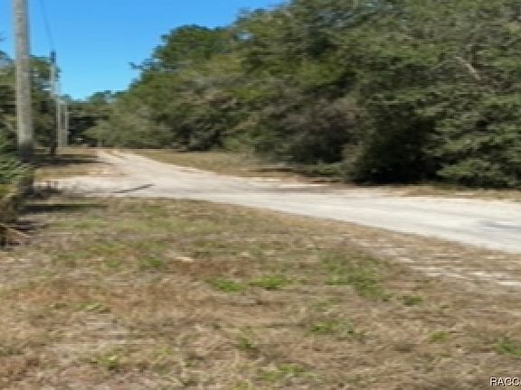4th image of 7697 W Crystal River Pl