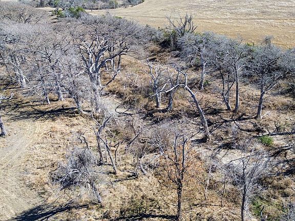 Blanco63 Largesize 36