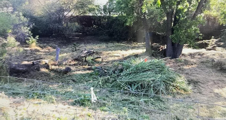 1355 Williamson Rd photo 1