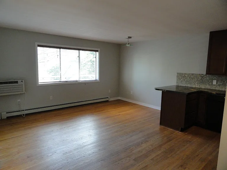 47 Lafayette Ave NE #203 — Photo 9