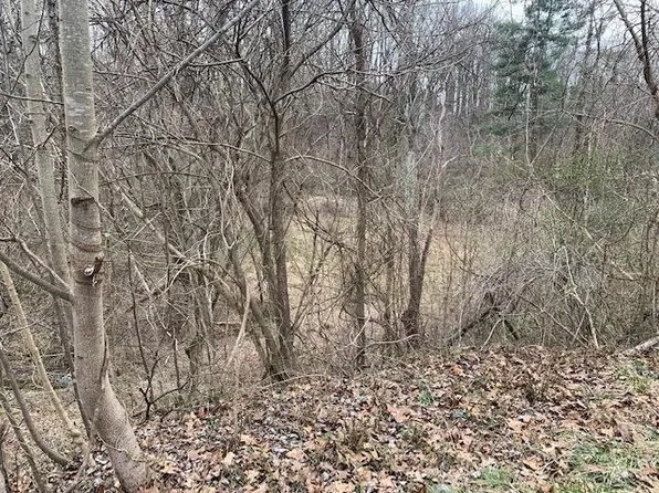 3907 Avery St, Ashland, KY 41101