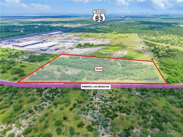 1235 Pimienta Rd, Rio Grande City, TX 78582