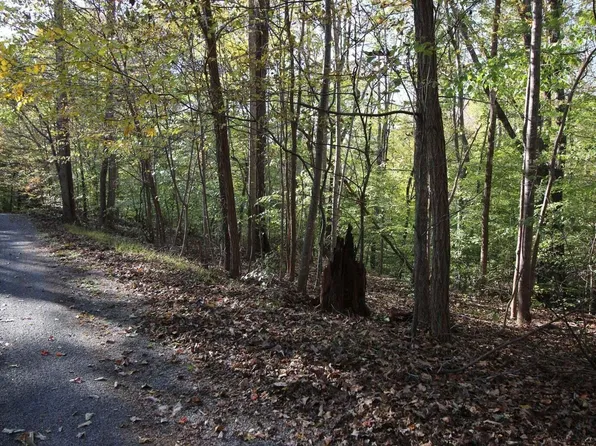 LOT 12 Woodway Ct, Goodview, VA 24095