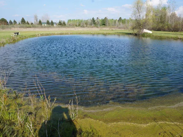 1758 E Manor Rd, Au Gres, MI 48703
