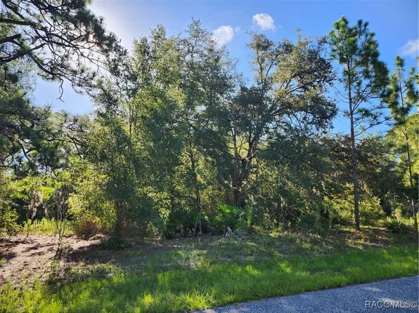 6373 N Earlshire Ter, Citrus Springs, FL 34434