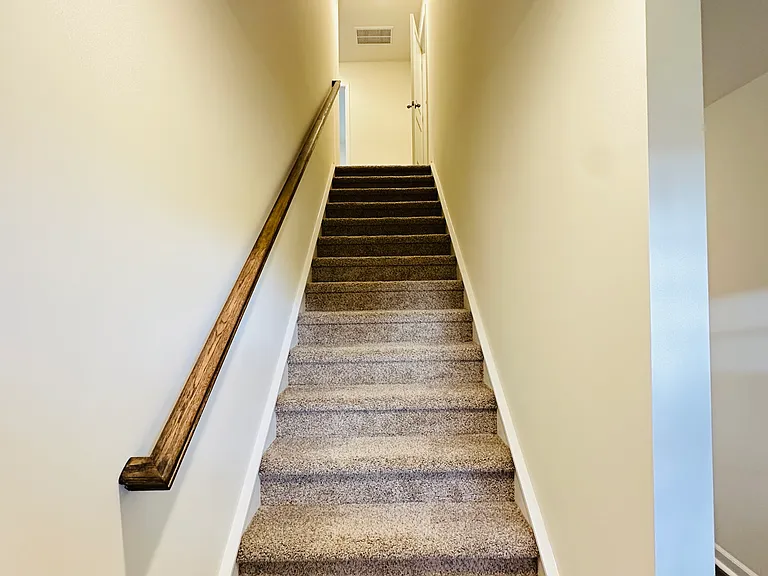 Neutral colors