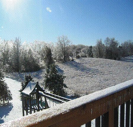 View of back yard