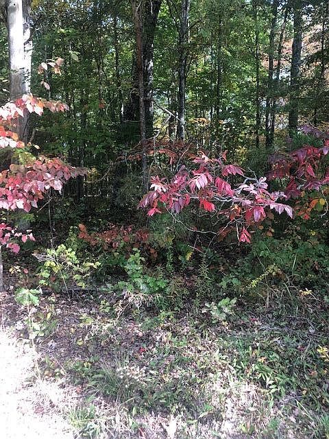 1st image of 615 Westchester Dr Lot 150