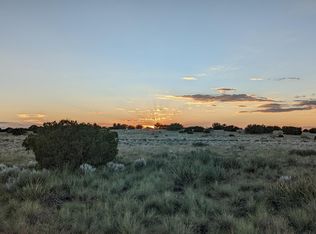 202 County Road N6451 -- #316, St Johns, AZ 85936