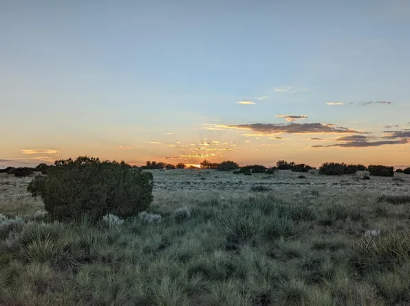 202 County Road N6451 -- #316, St Johns, AZ 85936