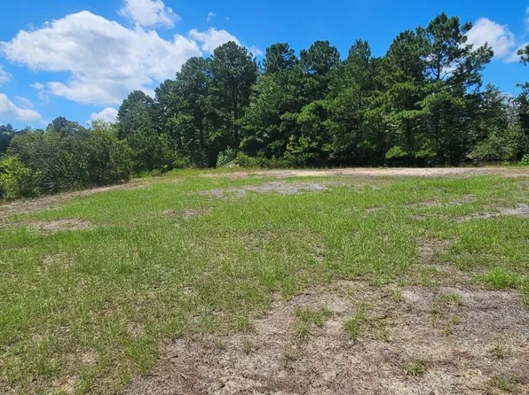 0 Vc Britt Rd, Orrum, NC 28369