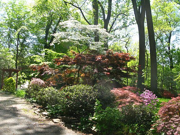 TrophylotONculdeSac Gardens!