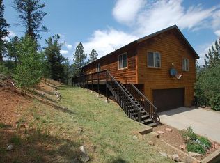 46 Marks Ln, Bailey, CO 80421