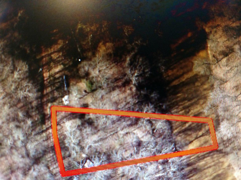 2nd image of 349 Buckingham Rd