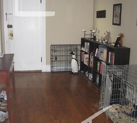 4th image of 1450 Commonwealth Ave APT 12A