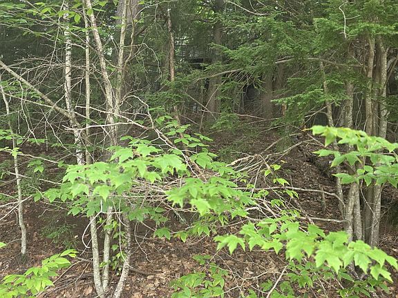 3rd image of 113 BELL VALLEY Road