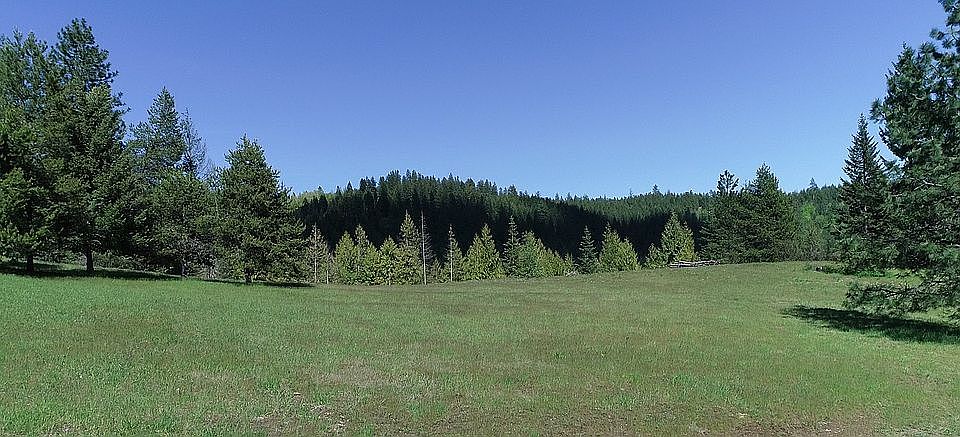 Gentle rolling meadow.