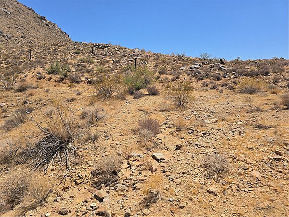 2nd image of 0000 Smoketree