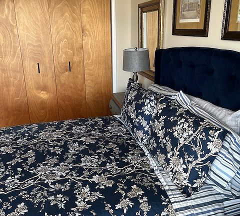 Master bedroom (king bed) and built in oversized floor to ceiling clothes closet