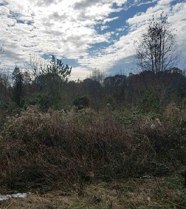 1st image of Parkview Shores Dr