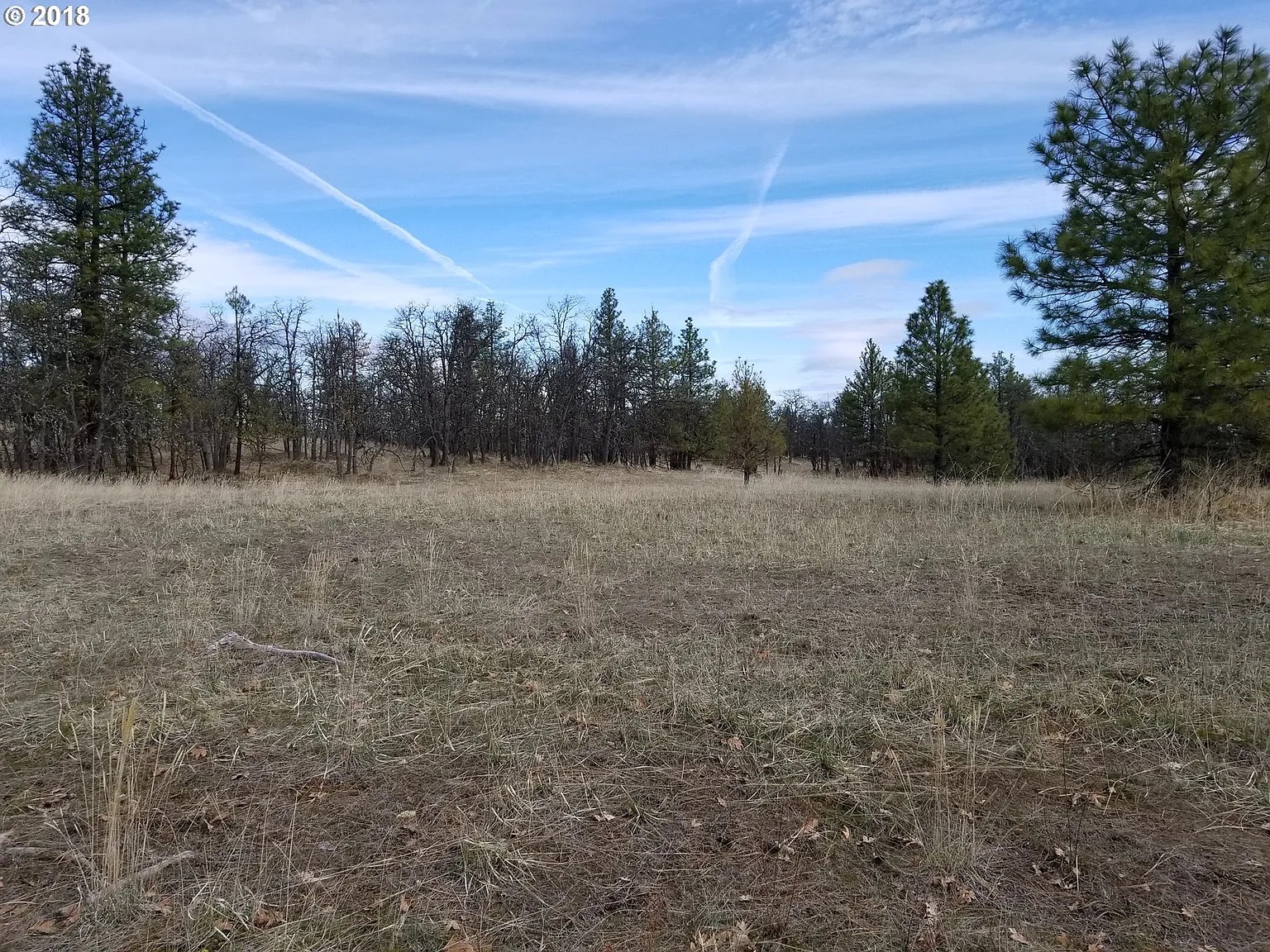 Ridgetop Rd photo 1