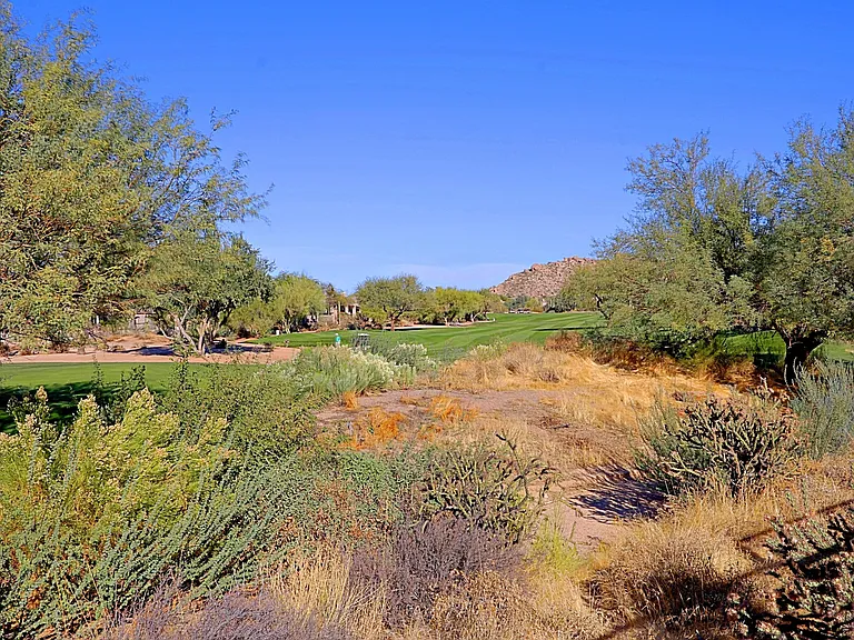 6894 E Thirsty Cactus Ln — Photo 46