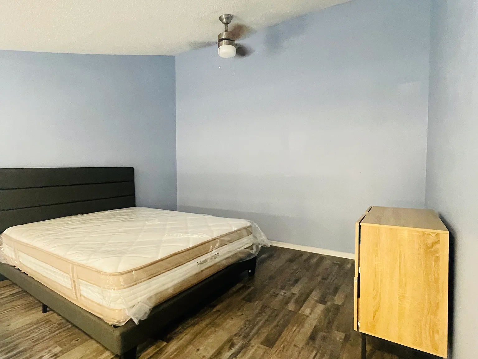 1 bed, $1,600 — Photo 4