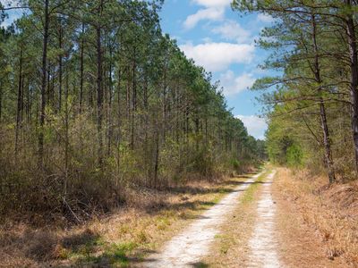 0 Gum Swamp Church Rd #2, Greenville, NC, 27834