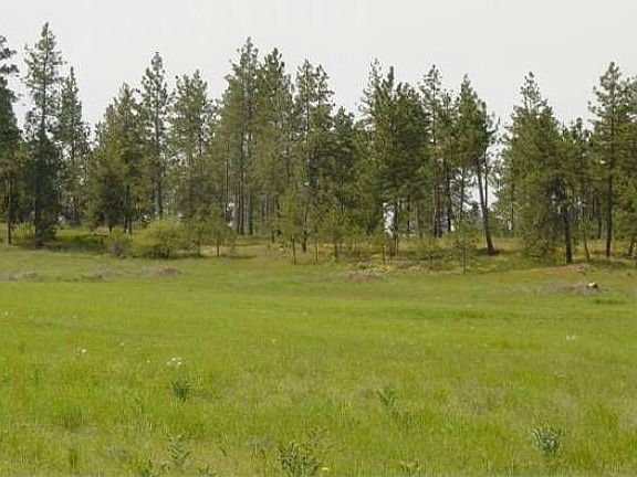 Lot D Spotted Meadows