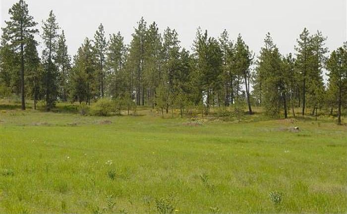 Lot D Spotted Meadows