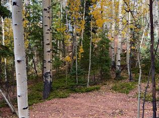 1341 Calcite Dr, Divide, CO 80814