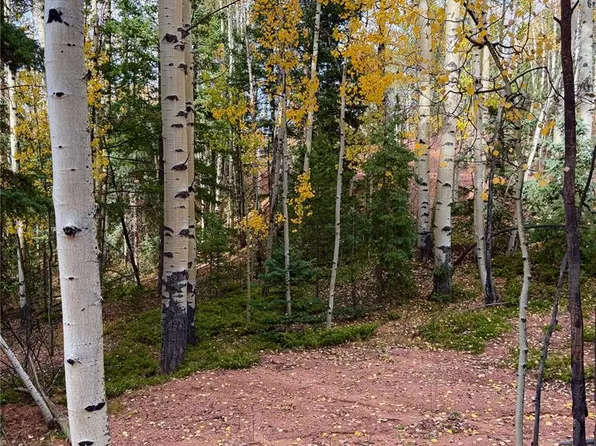 1341 Calcite Dr, Divide, CO 80814