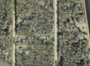10265 W Deep Creek Blvd, Hastings, FL 32145