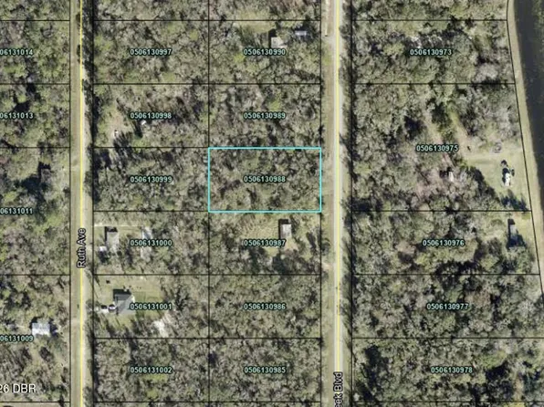 10265 W Deep Creek Blvd, Hastings, FL 32145