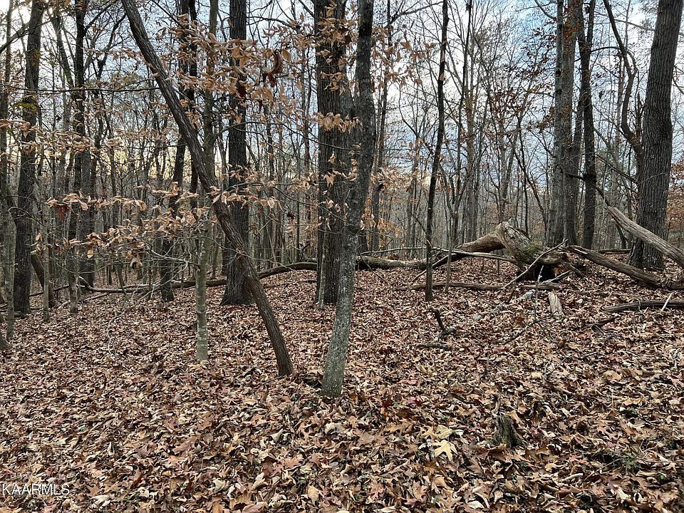 2nd image of 0 Ridge Dr Lot 62&64