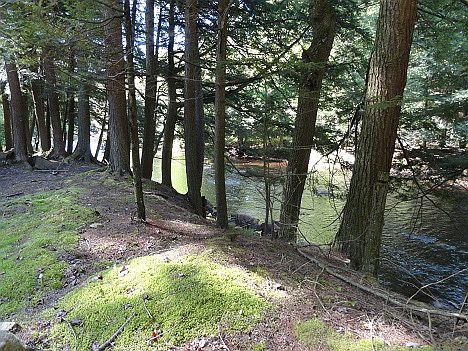 3rd image of 6373 Lingerlong Pond Road