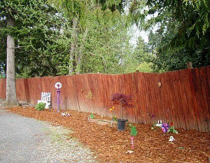 driveway leading to home