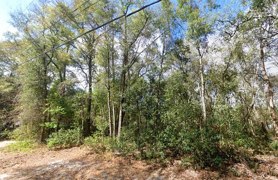 1st image of 19851 SE 156TH STREET LOT 402