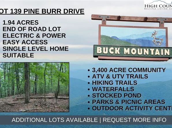 Lot 139 Pine Burr Drive, Purlear, NC 28665