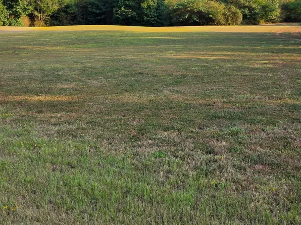 County Road 335, Tyler, TX 75708