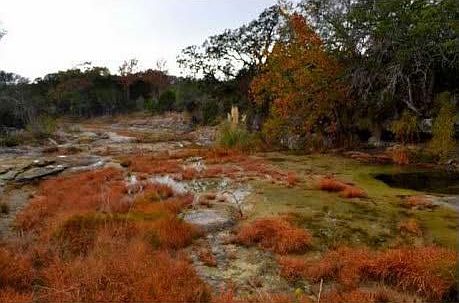 2nd image of 12615 Hwy 1431