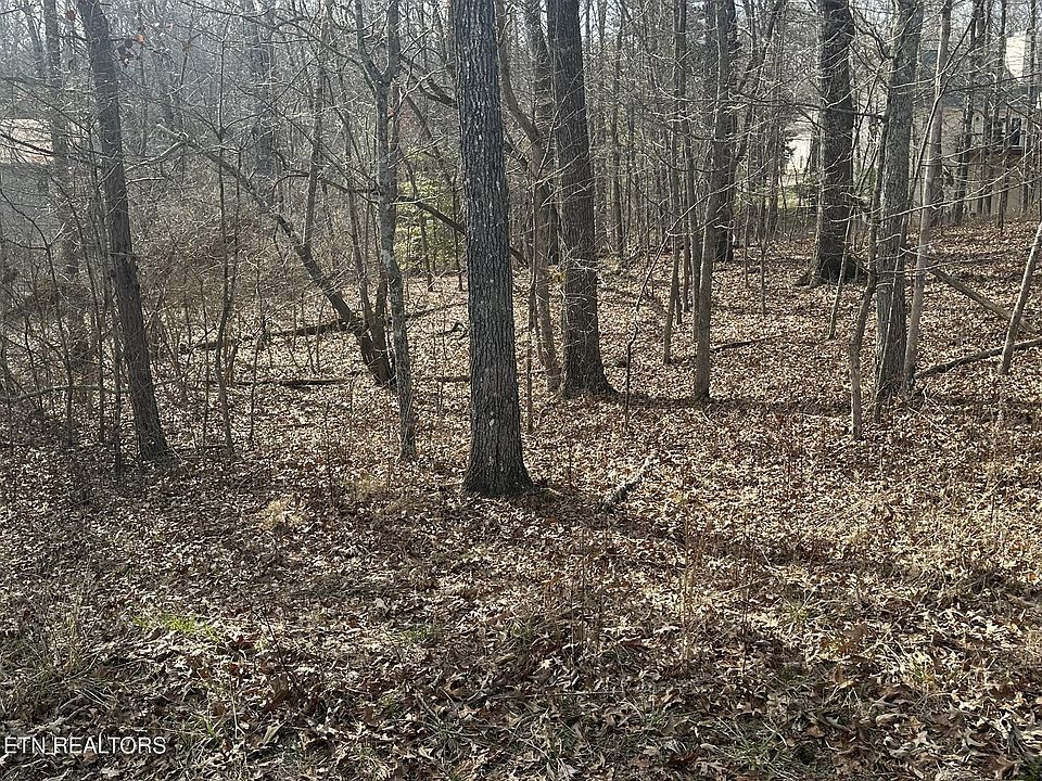 2nd image of 133 Burrough Ln Lot 88
