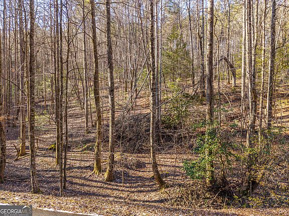 2nd image of 0 Satsuma Ct #694