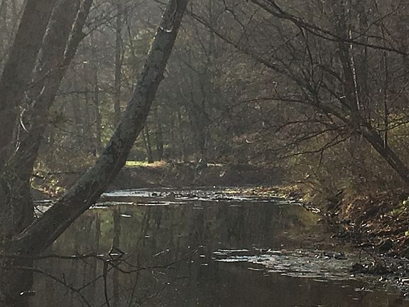 Our Beautiful peaceful creek