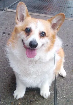 Rented by R New York | media 13