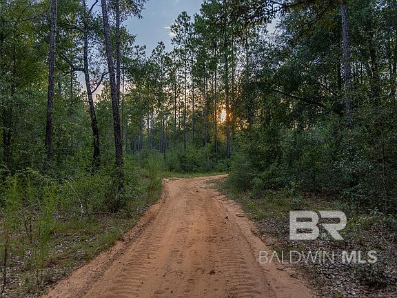 4th image of 29831 County Road 87 #3