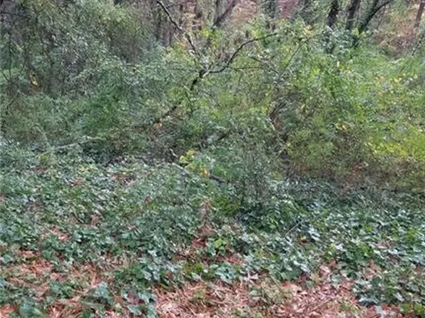 3387 Lake Valley Rd NW, Atlanta, GA 30331