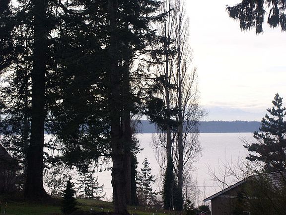 3rd image of 16708 Marine Dr