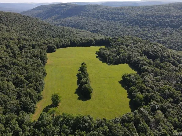 County Road 168, Deer, AR 72628